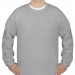 Crewneck Sweatshirt(NEW) Model H01