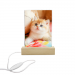 Acrylic Photo Frame with Colorful Light Base(Rectangle)